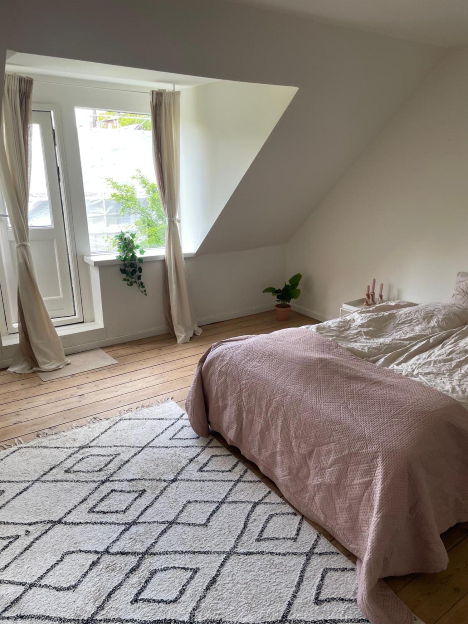 Udlejning Af To Vaerelser Med Udsigt Til Parken Beliggende I Centrum Homestay Odense